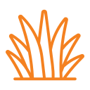 Amenity Icon